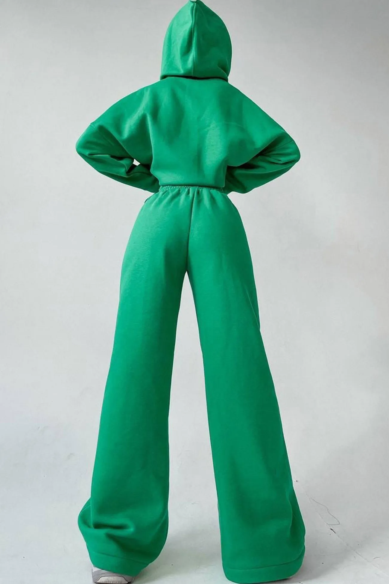Solid Hoodie Wide Leg Long Pants Suits