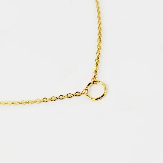 Stainless Steel O Ring Choker, Discreet Day Collar for Sub/slave. Gold Circle of O Necklace. BDSM Submissive