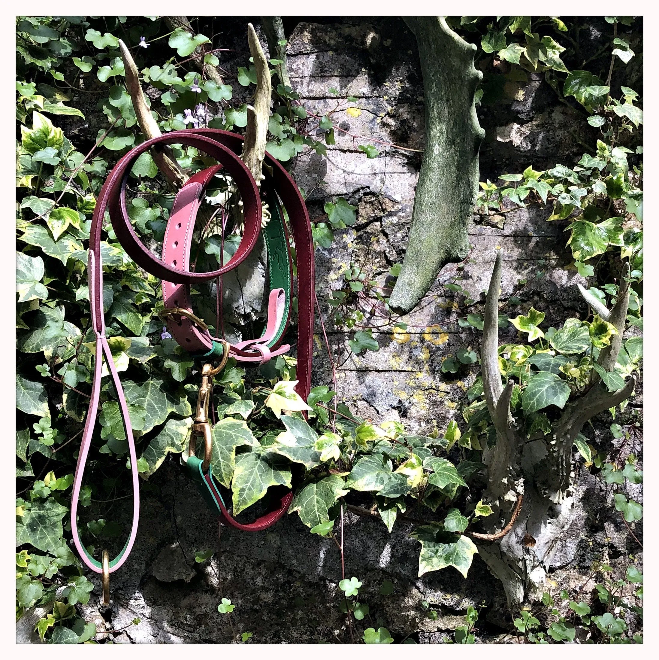 Walter Pink Italian Leather Designer Dog Lead
