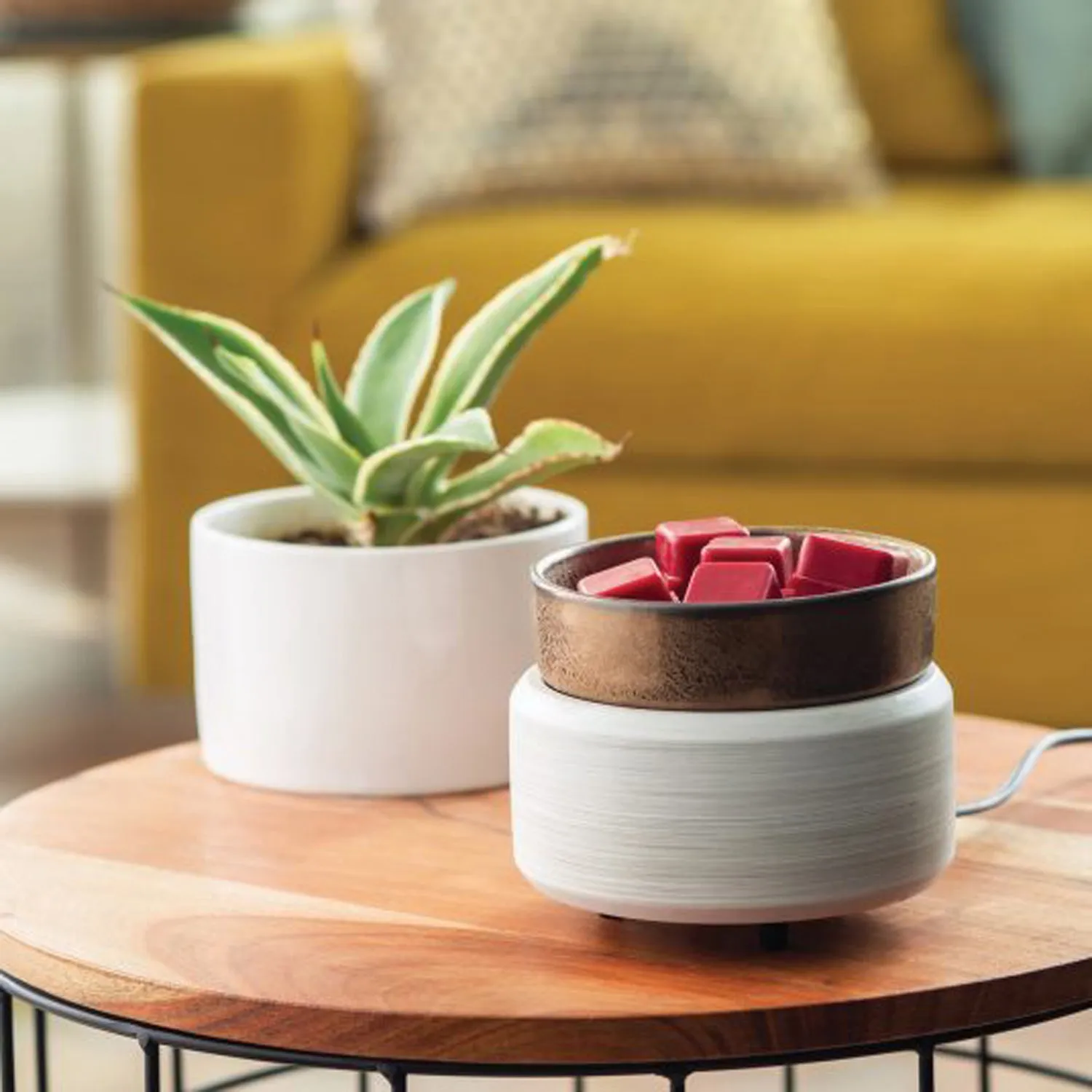 White Washed Bronze 2-In-1 Classic Fragrance Warmer CWDWWB